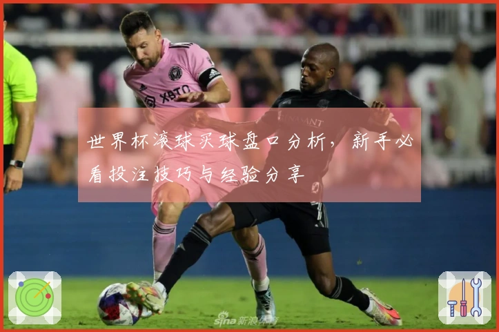 世界杯滚球买球盘口分析,新手必看投注技巧与经验分享