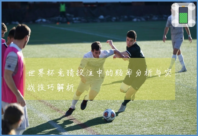 世界杯竞猜投注中的赔率分析与实战技巧解析