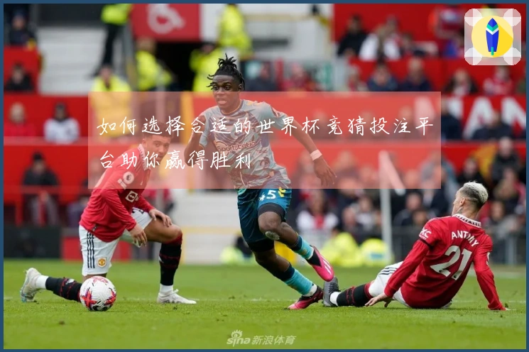 如何选择合适的世界杯竞猜投注平台助你赢得胜利