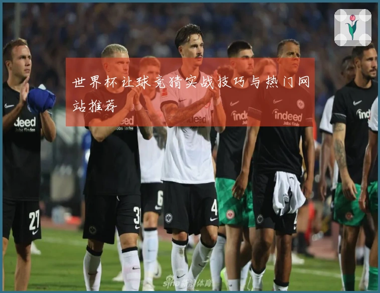 世界杯让球竞猜实战技巧与热门网站推荐