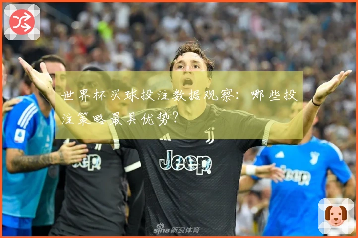 世界杯买球投注数据观察：哪些投注策略最具优势？