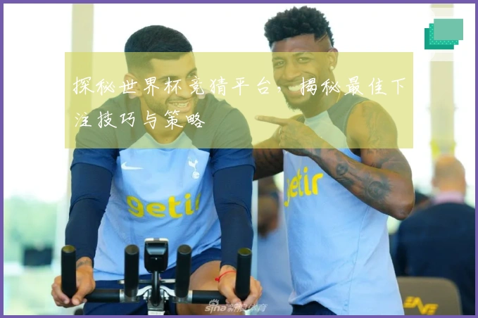探秘世界杯竞猜平台，揭秘最佳下注技巧与策略