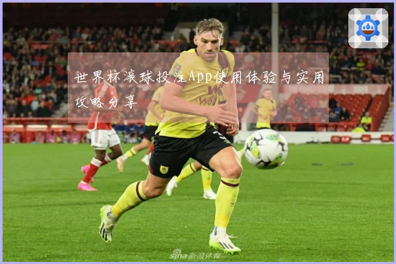 世界杯滚球投注App使用体验与实用攻略分享