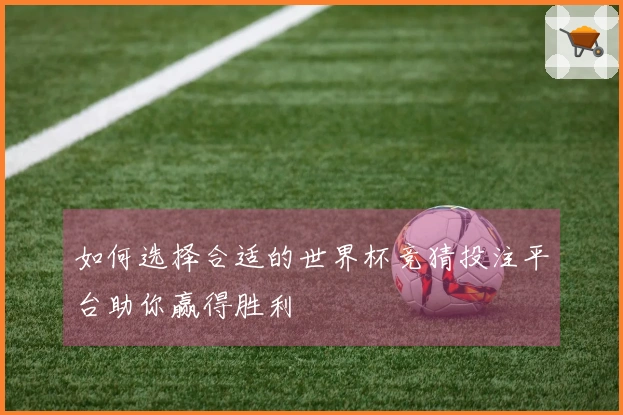如何选择合适的世界杯竞猜投注平台助你赢得胜利