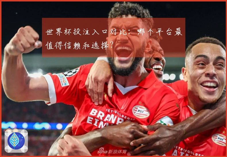 世界杯投注入口对比：哪个平台最值得信赖和选择？