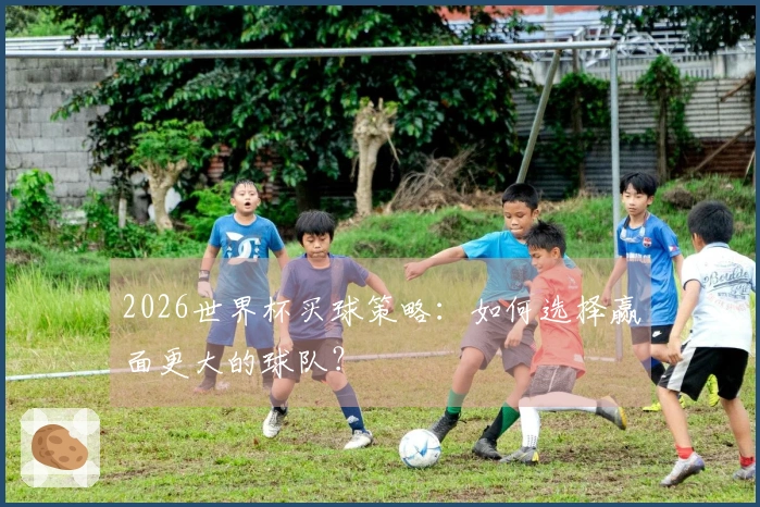 2026世界杯买球策略：如何选择赢面更大的球队？