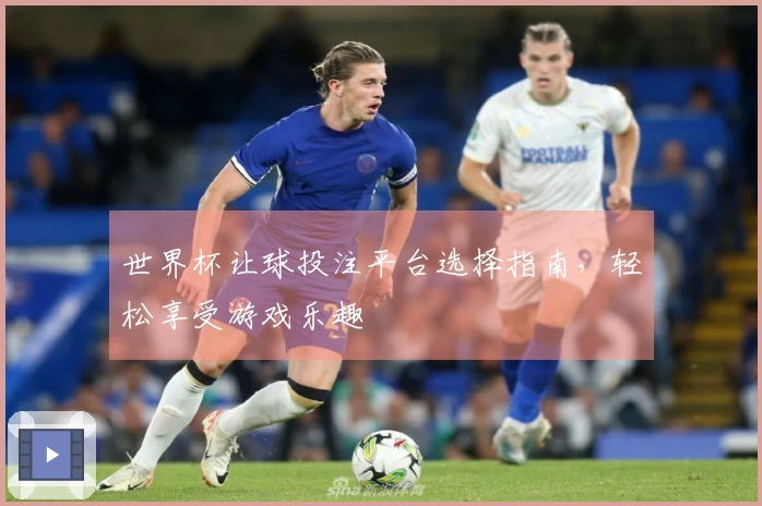 世界杯让球投注平台选择指南，轻松享受游戏乐趣