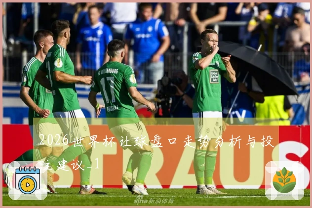 2026世界杯让球盘口走势分析与投注建议_1
