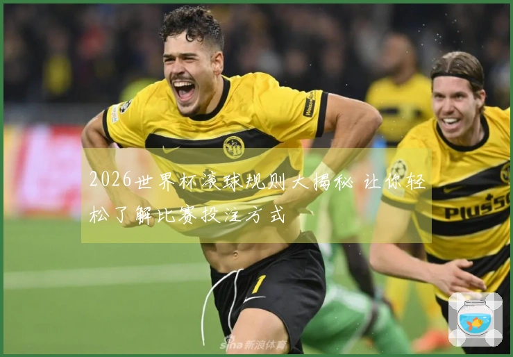 2026世界杯滚球规则大揭秘 让你轻松了解比赛投注方式