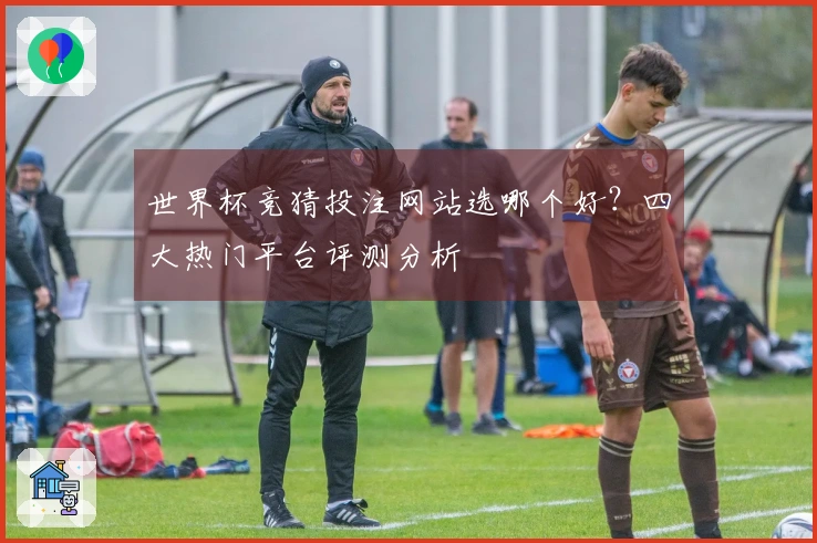 世界杯竞猜投注网站选哪个好？四大热门平台评测分析