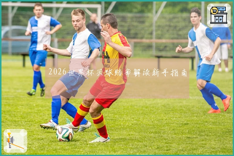 2026世界杯买球赔率解读新手指南
