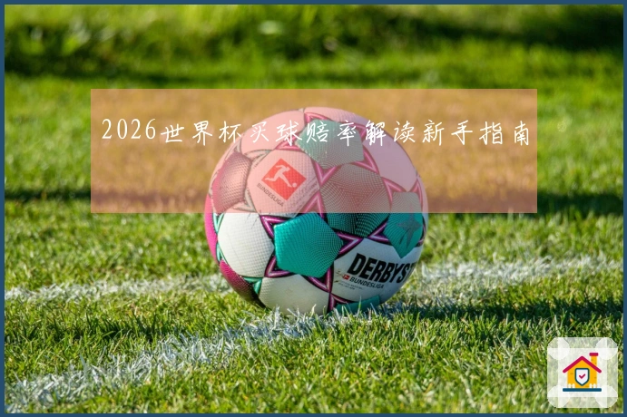 2026世界杯买球赔率解读新手指南