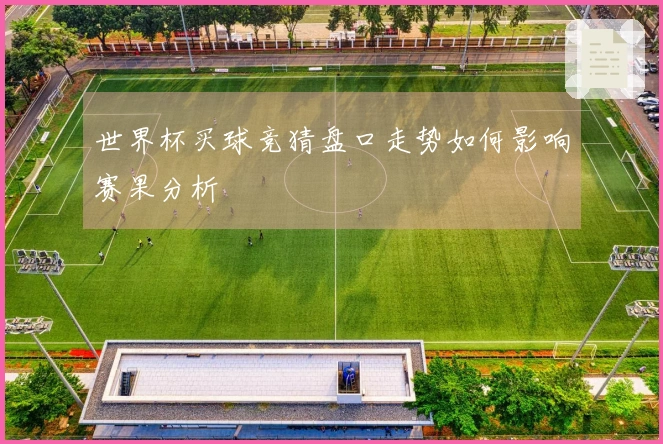 世界杯买球竞猜盘口走势如何影响赛果分析