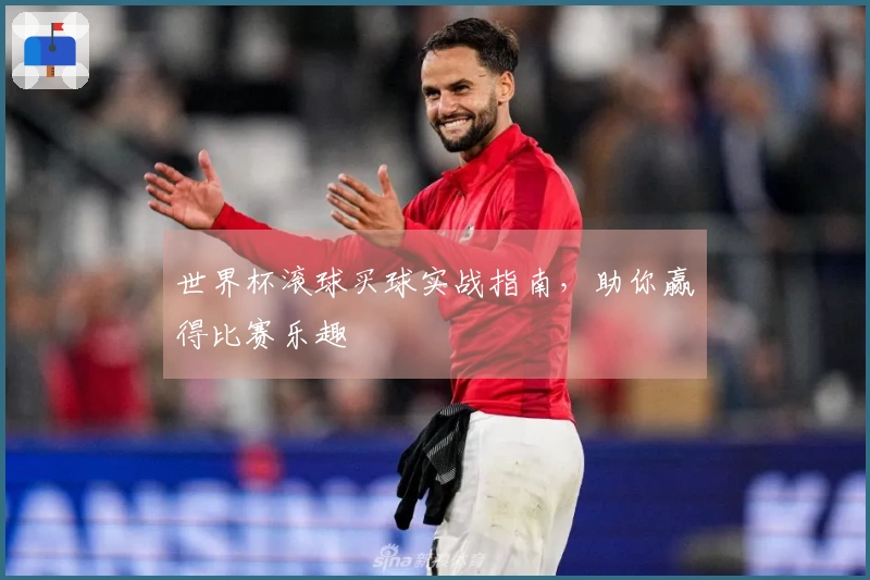 世界杯滚球买球实战指南，助你赢得比赛乐趣