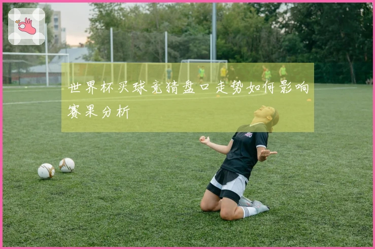 世界杯买球竞猜盘口走势如何影响赛果分析